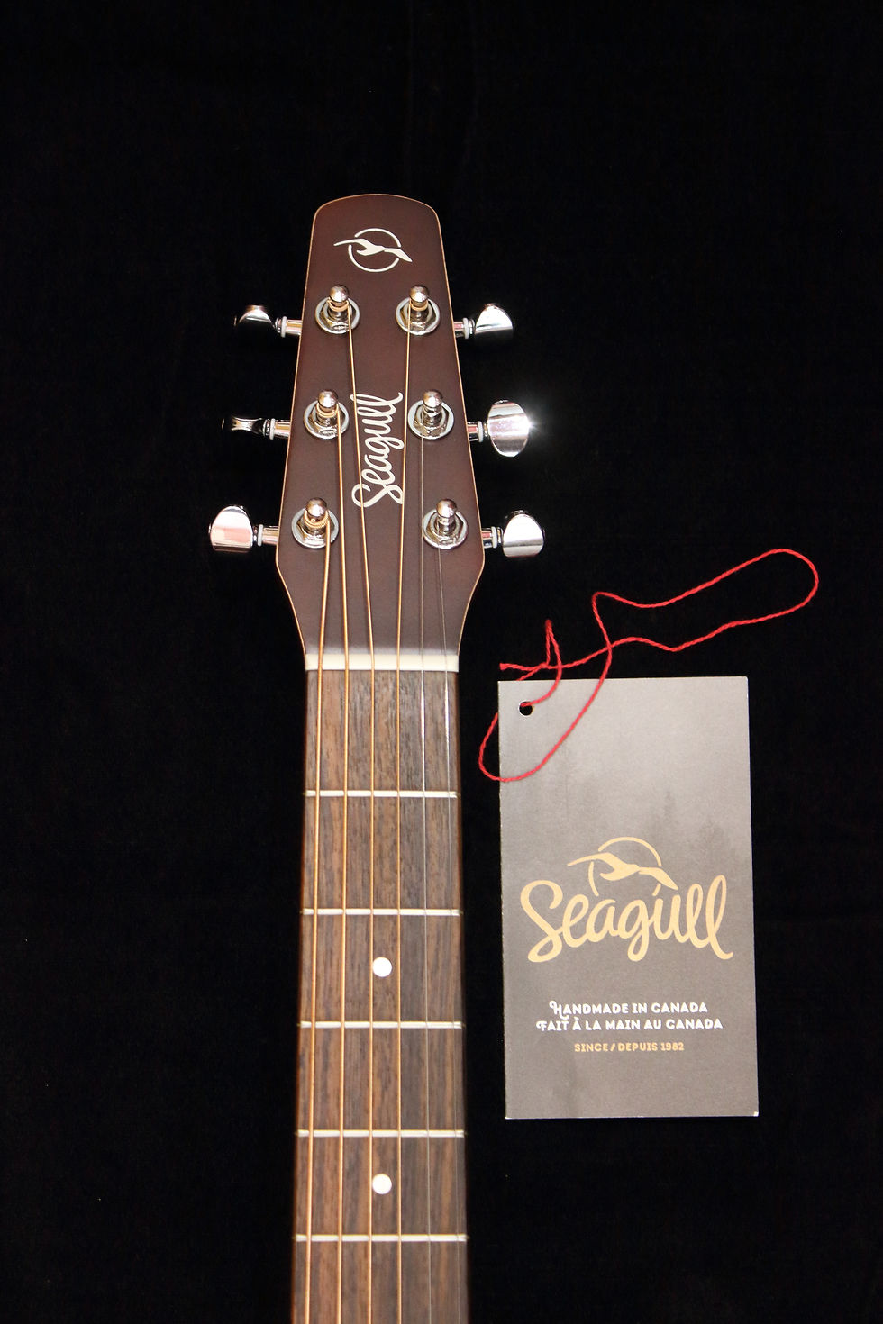 Miniatura: Seagull Entourage Dreadnought CW QIT