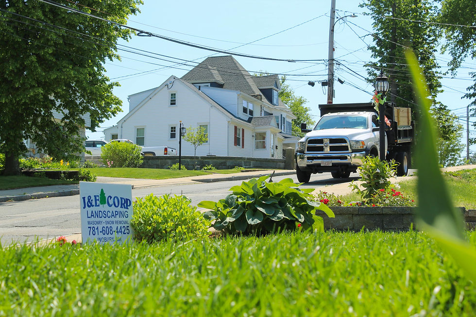 J&E-Lawn-min.jpg