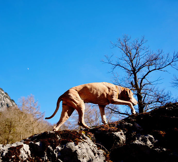 _DSC2328.jpg Kischa Felsen.jpg