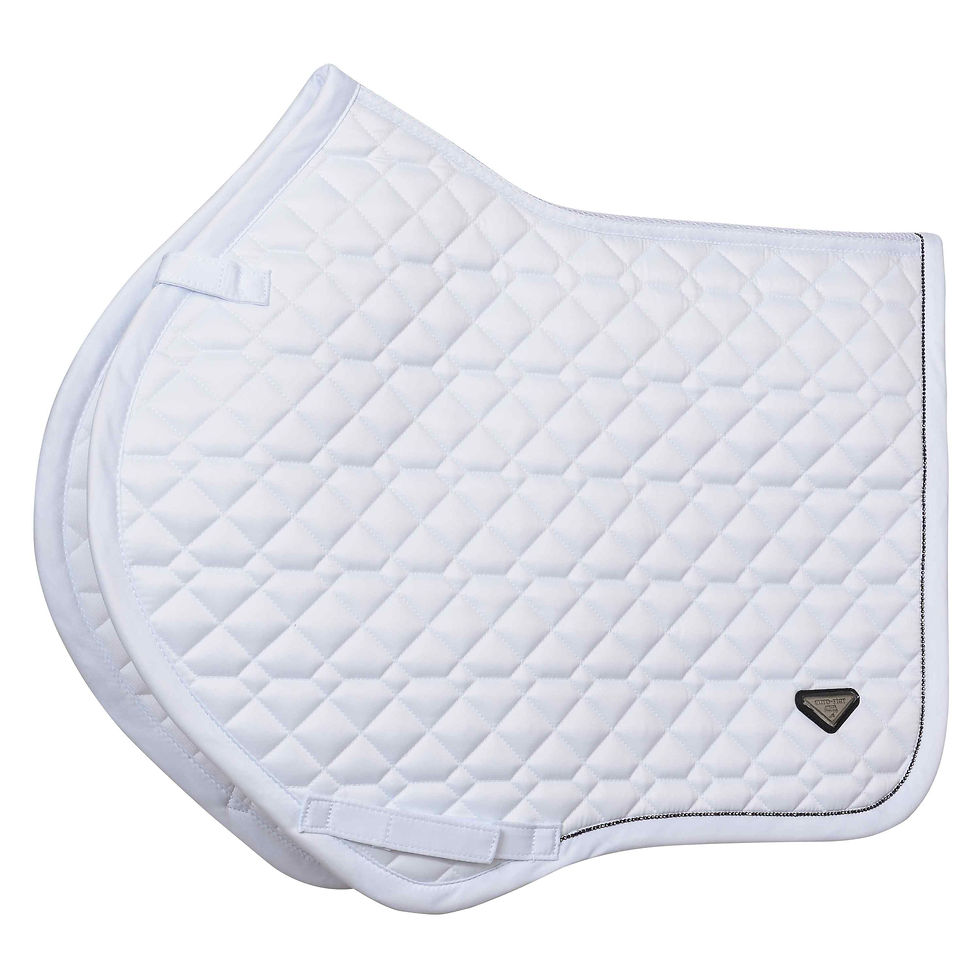 Thumbnail: Saddlepad ESCato - EuroStar