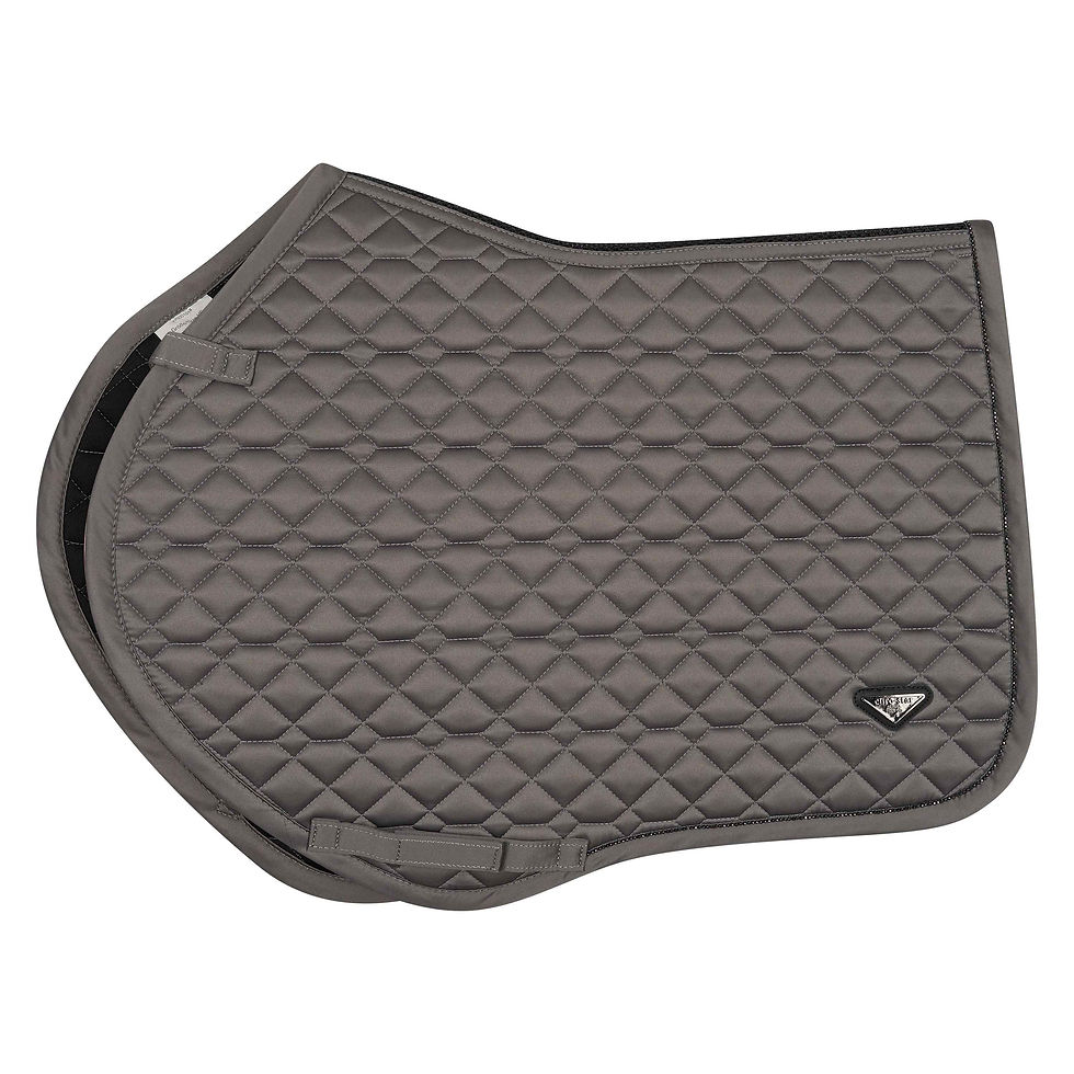 Thumbnail: Saddlepad ESCato - EuroStar
