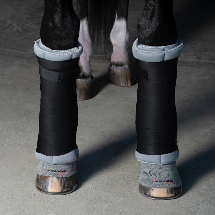 Thumbnail: Circulation Hoof Socks - Incrediwear