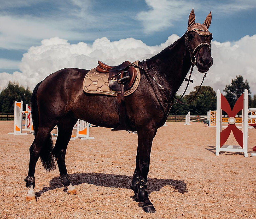 Thumbnail: Ear Bonnet Champagne - Equestrian Stockholm