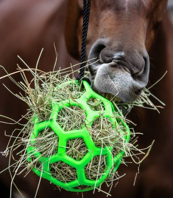 Thumbnail: Hay Ball - Waldhausen