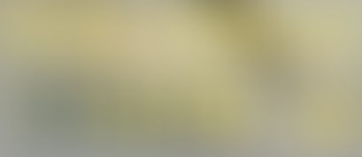 EN 55024 CISPR 24 Bilgi Teknolojisi Ekipmanı (Bağışıklık Özellikleri): Sınırlar ve Ölçüm Yöntemleri