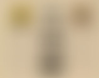 Seamik Kapasitörlerde C0G(NP0), X7R, Y5V, Z5U Ne Anlama Gelir?