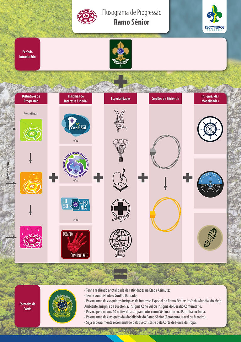 Fluxograma_de_progressao_(ramo_senior)-1.jpg