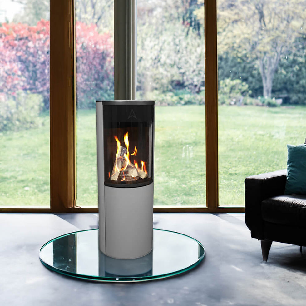 Thumbnail: PANAVIA Balanced Flue Gas Stove