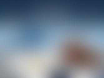 5 Documents That Require Notarization: Your Essential Guide