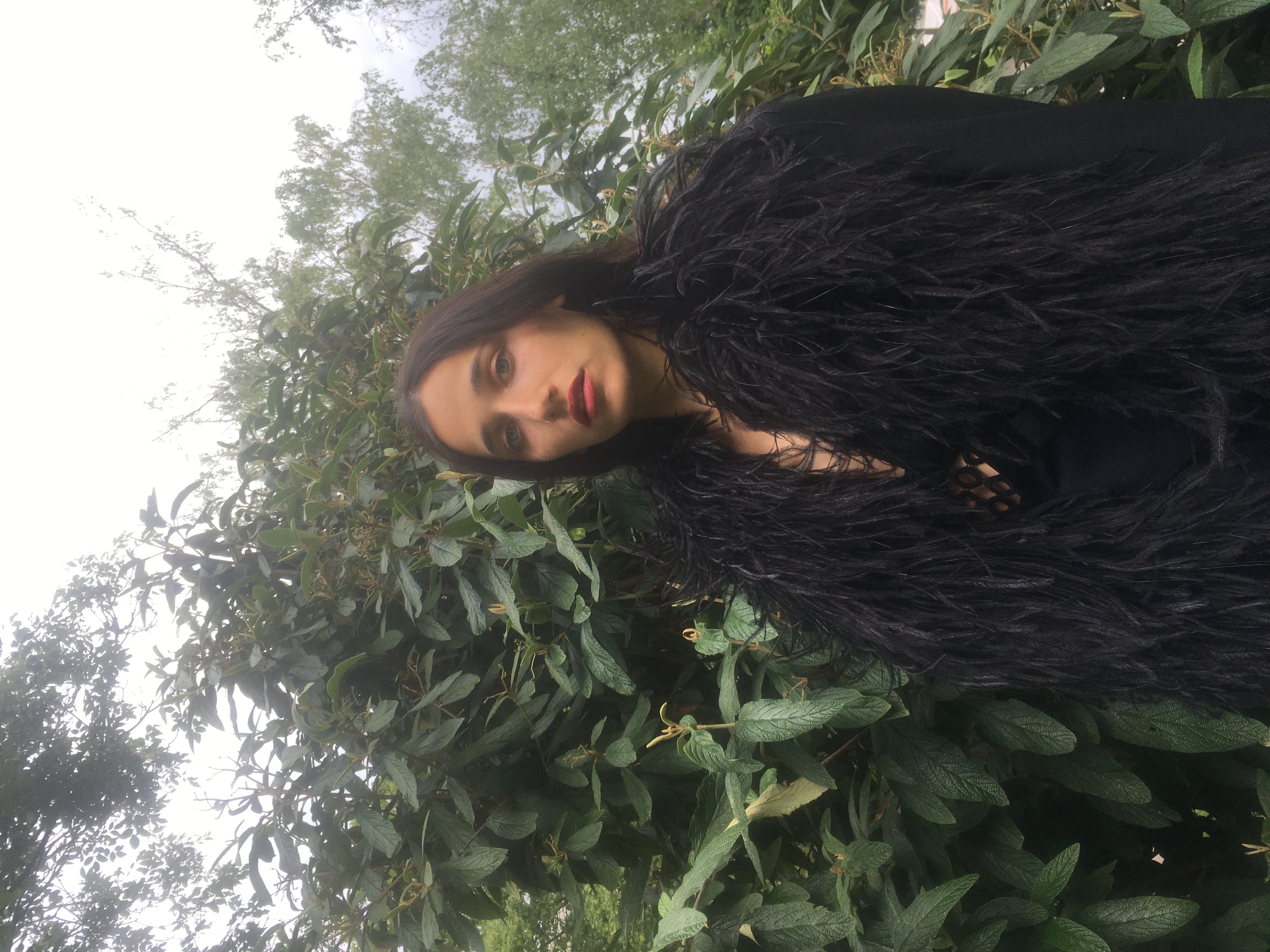 Feathers&Fauna