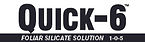Quick-6-Logo.jpeg