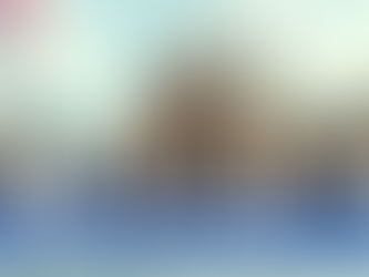 Shaping the Future: The Role of the Anglican Church