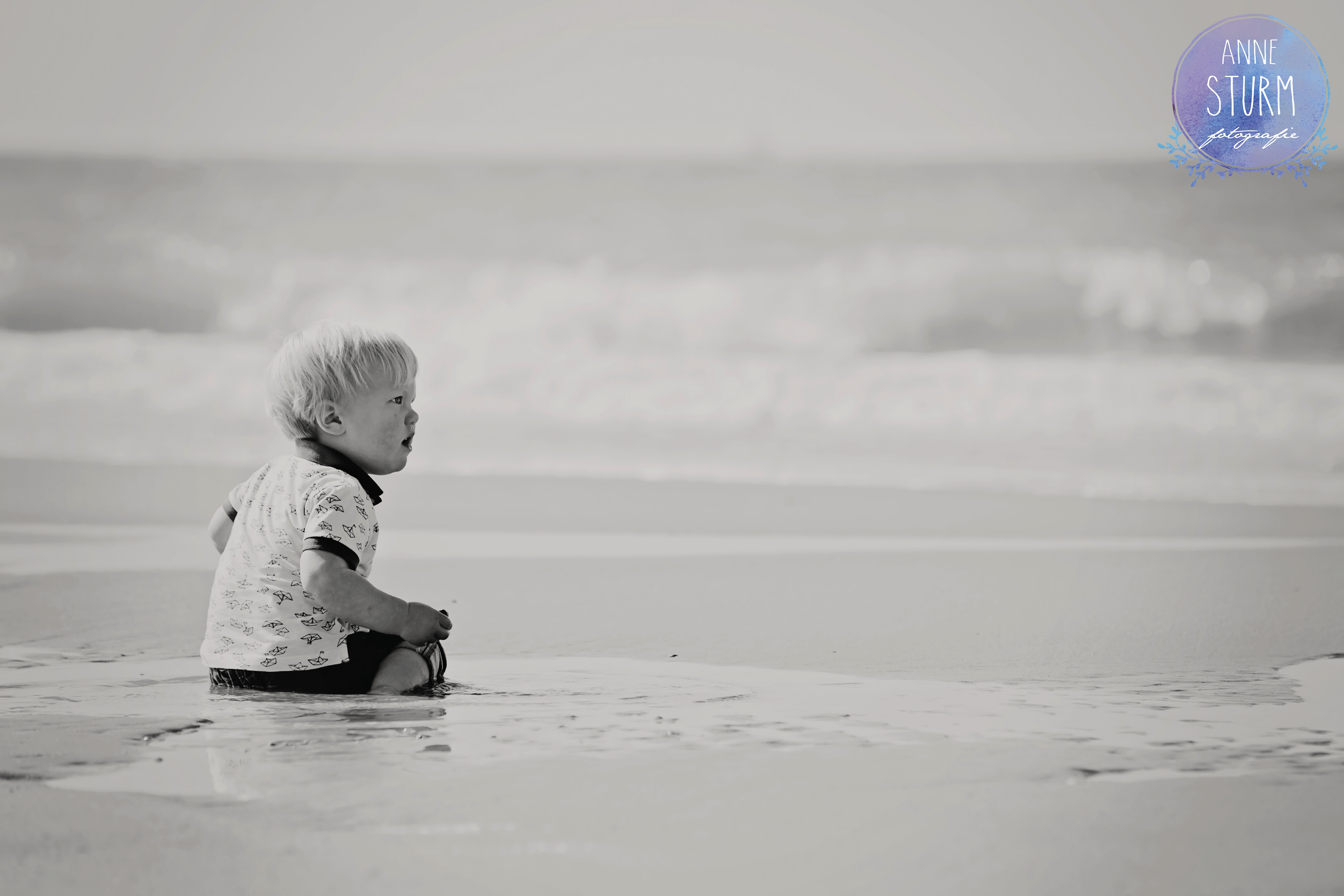 Photographe Normandie