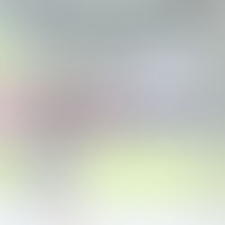 アンケートありがとうございました。