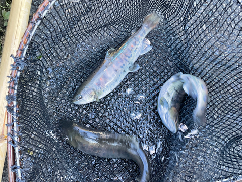 今年も宜しくお願いします😆