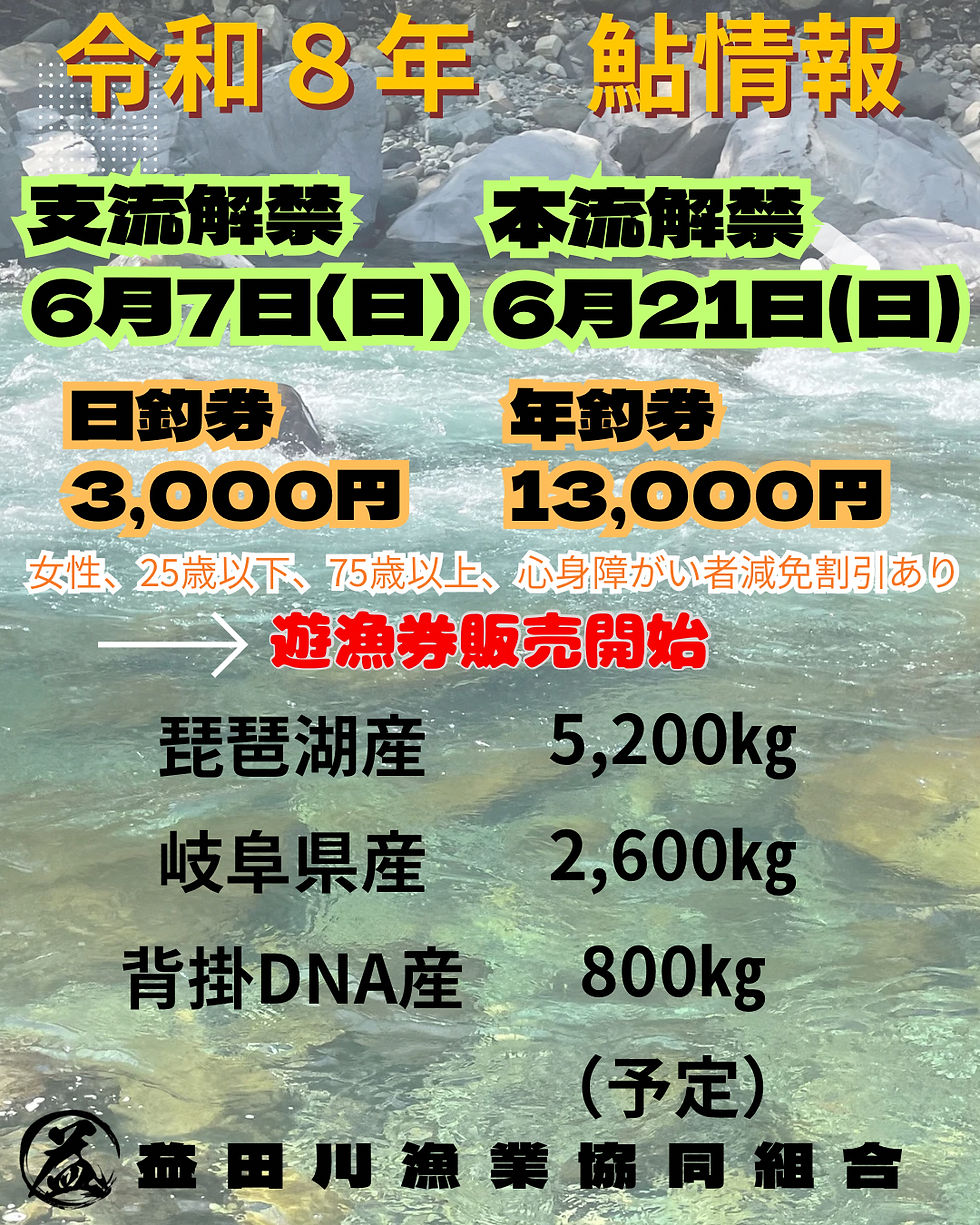 鮎解禁日、遊漁料、放流量