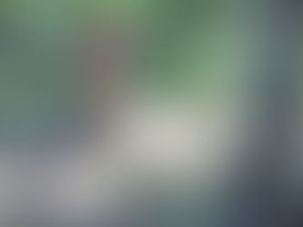 漁協からのお知らせ 7.14