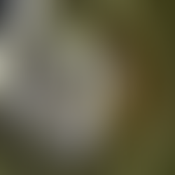 昨日大アマゴ放流完了　9.12