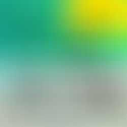 大アマゴ放流します 2025.09.02