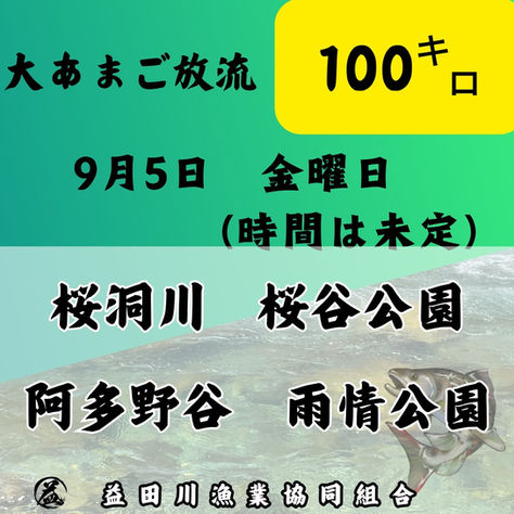 大アマゴ放流します 2025.09.02