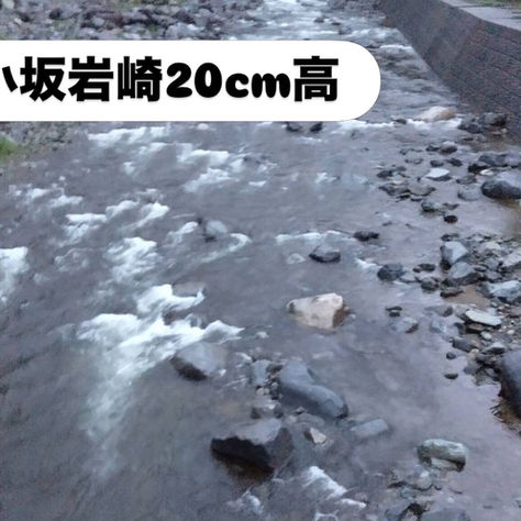 解禁河川状況