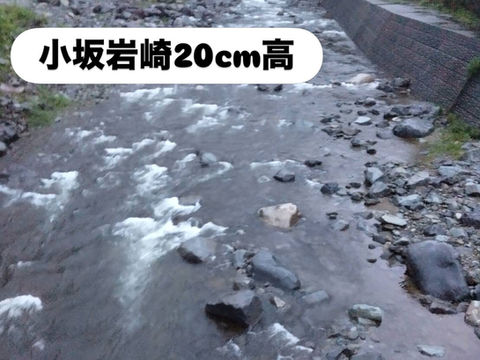 解禁河川状況