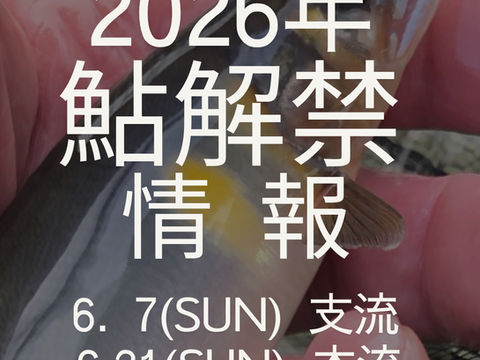 鮎解禁日と大会のお知らせ
