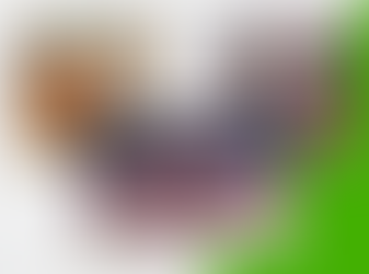 SAINT-LOISE GYMNASTIQUE : DES VACANCES BIEN MÉRITÉES MAIS STUDIEUSES POUR LE CLUB