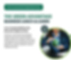 The Green Advantage: Business Lunch & Learn