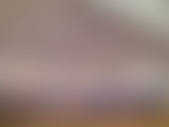 Erfolgreiche Konzertwertung in Grafenwörth