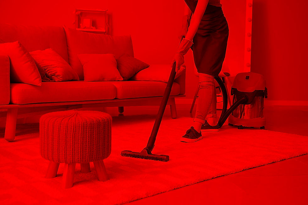 house-cleaning copy.jpg
