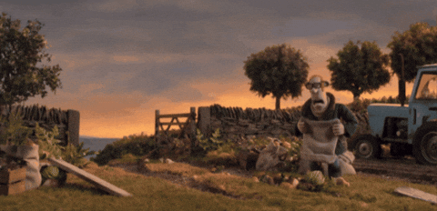 gif (31).gif