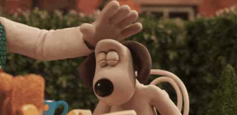 gif (28).gif