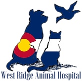 WRAH Logo.webp