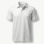 Professional Polo Shirt