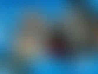 Family in bleachers at sporting event.