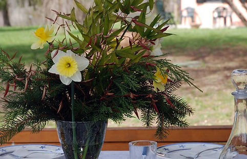 Colazione sotto la pergola, B&B