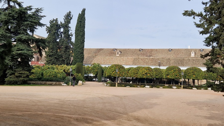 Alcazar kertje fakkal novenyekkel cordobaban