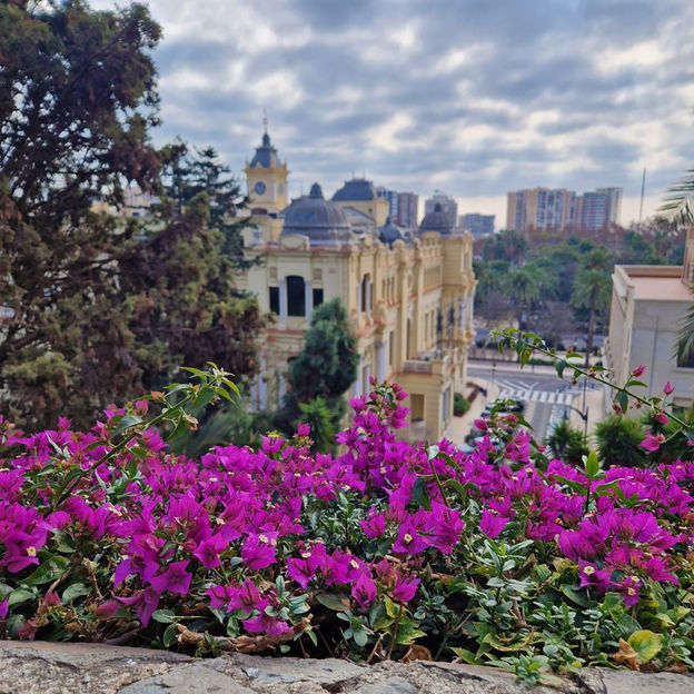 viragok; epulet; malaga; alcazaba
