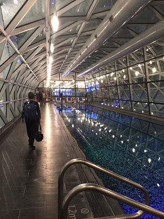 Úszómedence az Oryx hotelben, Katar, Doha