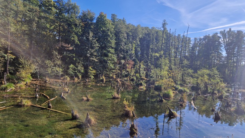 latkep; tata; fenyes tanosveny