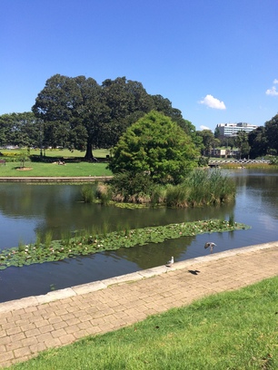 Oázis a belváros szívében, Sydney