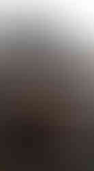 Váci utcai épület, Sörforrás étterem