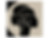 EOB logo-1.png