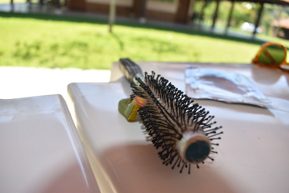 Red, green, and yellow caterpillar crawling on hairbrush left on a table