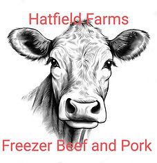 stock-photo-coloring-book-illustration-of-a-young-cute-cow-kawai-sticker-graphic-crisp-sha