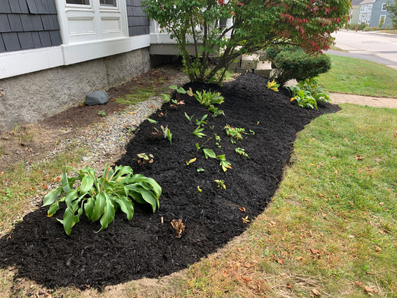 Garden design Maine
Landscape design Southern Maine
Garden installation Maine
Garden maintenance services Maine
Southern Maine gardening experts
Landscape architects Southern Maine
Maine garden landscaping
Southern Maine garden care
Professional gardeners Maine
Garden renovation services Maine
Southern Maine outdoor space design
Southern Maine garden planning
Sustainable gardening Maine
Southern Maine garden makeover
Seasonal garden maintenance Maine
Custom garden designs Southern Maine
Southern Maine landscape construction
Organic garden care Maine
Southern Maine gardener
Southern Maine residential landscaping
Saco Maine gardener
Saco Maine gardening company
Pollinator gardens
Butterfly gardens Maine
Native plant gardening
Maine vegetable garden
Sustainable landscape development
Organic gardening Maine
IPM Integrated Pest Management