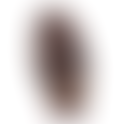 Imagen 6. “tzantza” (cabeza reducida)