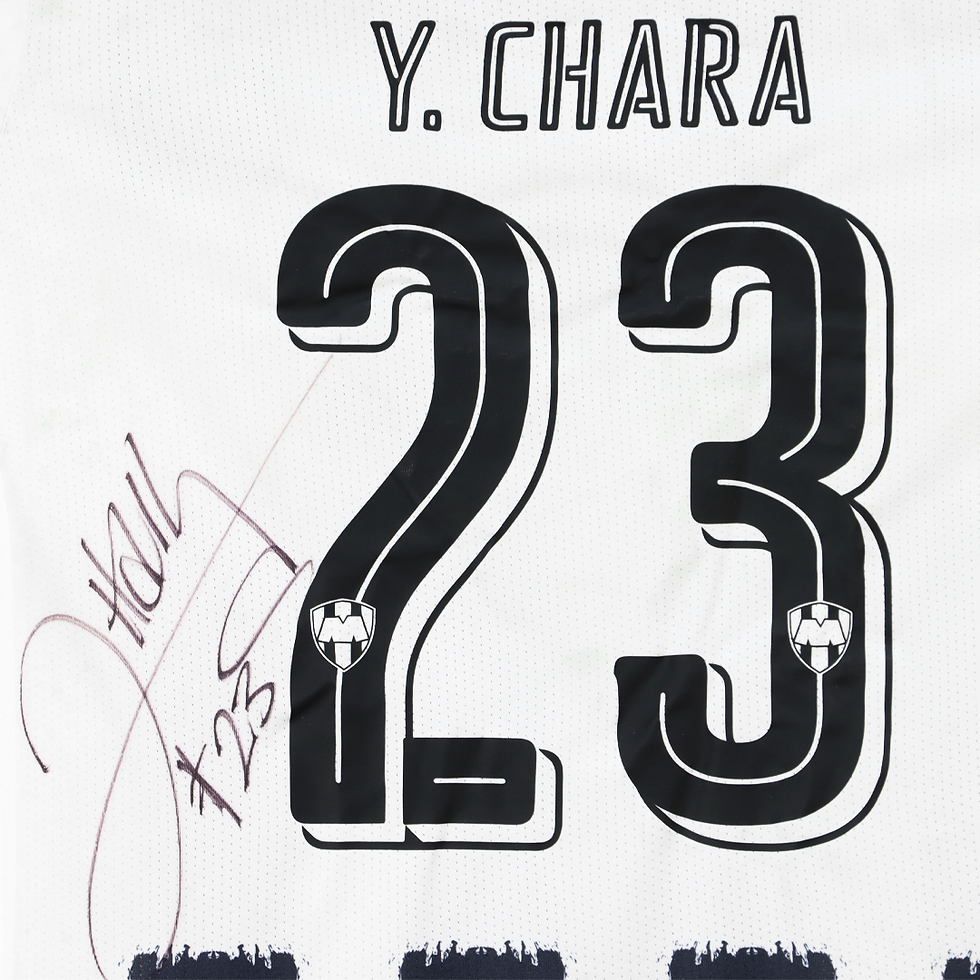 Miniatura: Jersey Y. Chara