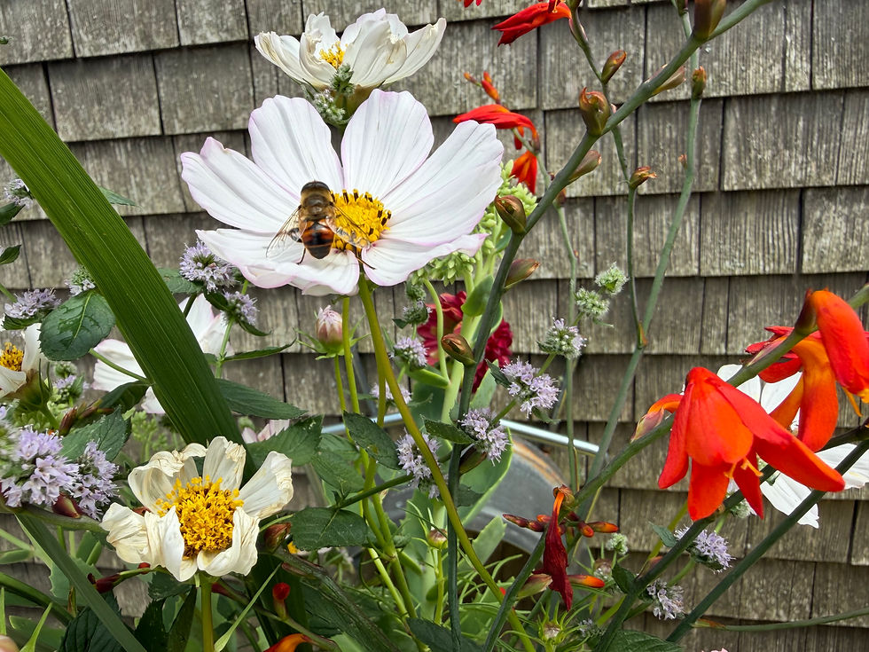 Kaffee, Kuchen und ein blühender Garten